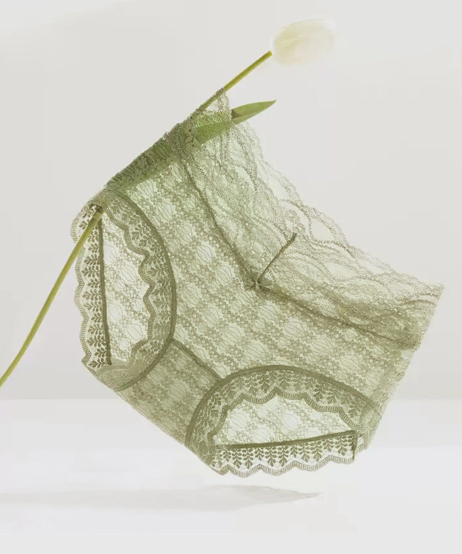 【3枚セット】ハイライズ総レースショーツsdpal4013 C